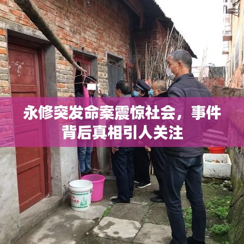 永修突發命案震驚社會,事件背后真相引人關注