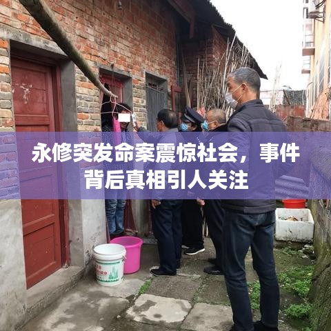 永修突發命案震驚社會,事件背后真相引人關注