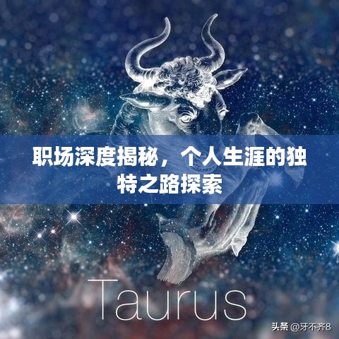 職場深度揭秘，個人生涯的獨(dú)特之路探索