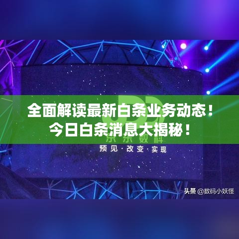 全面解讀最新白條業務動態！今日白條消息大揭秘！