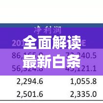 全面解讀最新白條業務動態!今日白條消息大揭秘!
