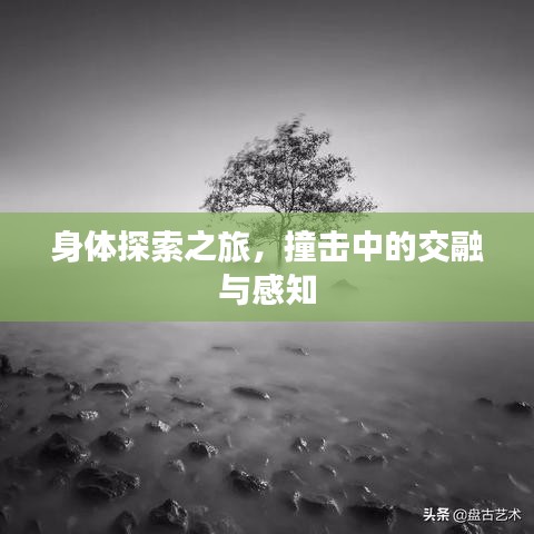 身體探索之旅,撞擊中的交融與感知
