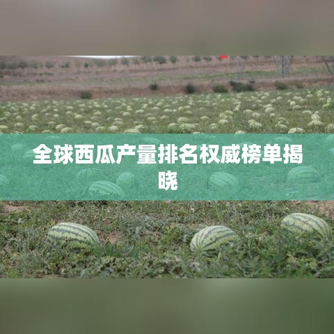 全球西瓜產量排名權威榜單揭曉