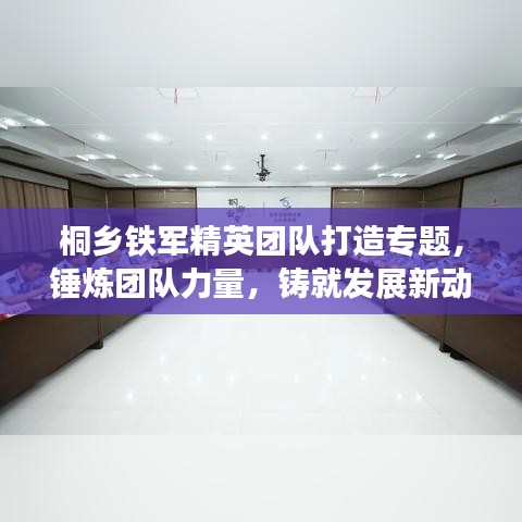 桐鄉鐵軍精英團隊打造專題,錘煉團隊力量,鑄就發展新動力