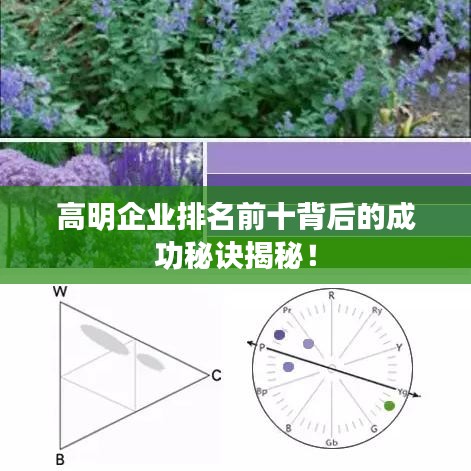 高明企業排名前十背后的成功秘訣揭秘!