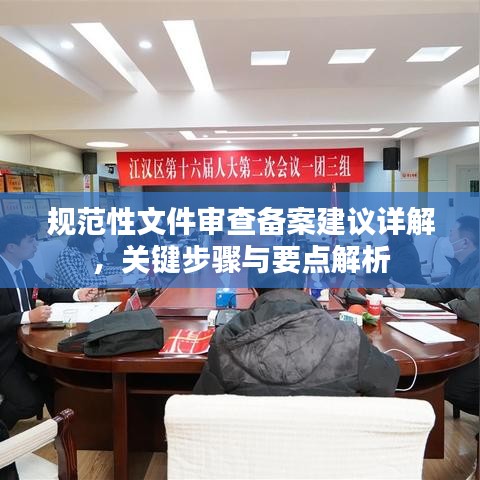 規范性文件審查備案建議詳解,關鍵步驟與要點解析