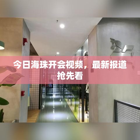 今日海珠開會視頻,最新報道搶先看