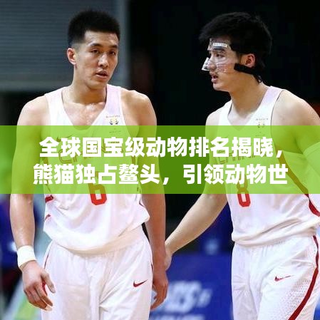 全球國寶級動物排名揭曉，熊貓獨占鰲頭，引領動物世界風潮！