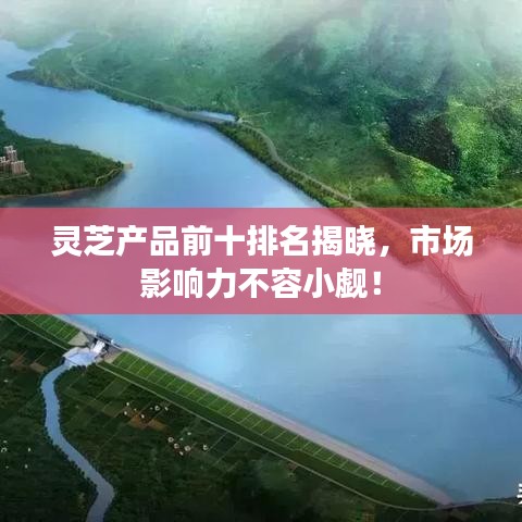 靈芝產品前十排名揭曉,市場影響力不容小覷!