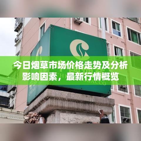 今日煙草市場價格走勢及分析影響因素,最新行情概覽