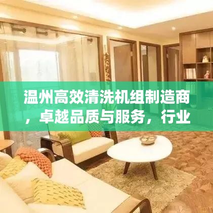 溫州高效清洗機組制造商,卓越品質與服務,行業典范之選