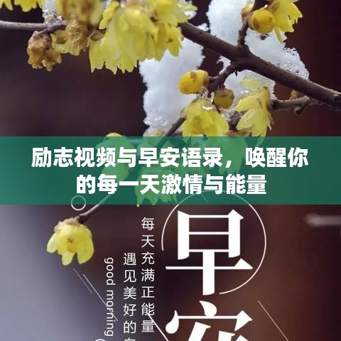 勵(lì)志視頻與早安語(yǔ)錄,喚醒你的每一天激情與能量