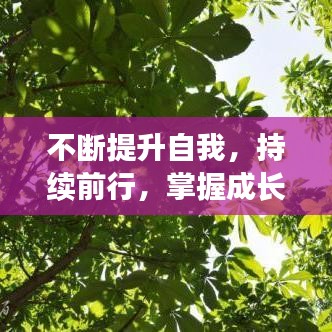 不斷提升自我,持續前行,掌握成長秘訣,邁向成功之路