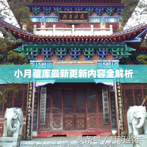 小月藏庫最新更新內容全解析