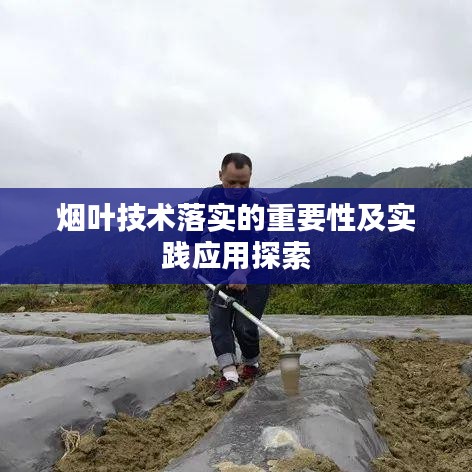 煙葉技術落實的重要性及實踐應用探索