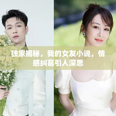 獨家揭秘,我的女友小說,情感糾葛引人深思