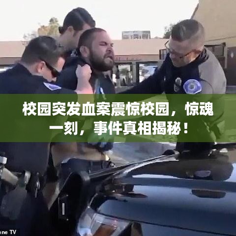 校園突發血案震驚校園,驚魂一刻,事件真相揭秘!