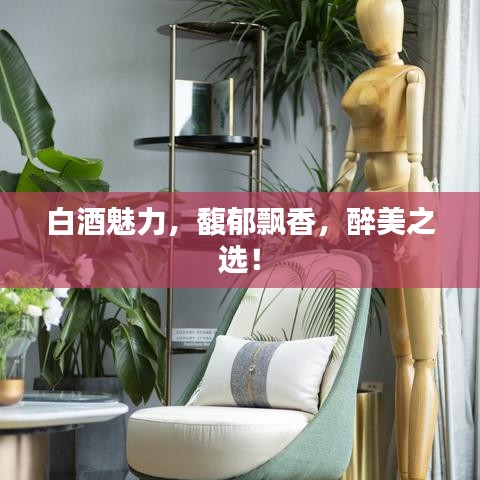 白酒魅力,馥郁飄香,醉美之選!