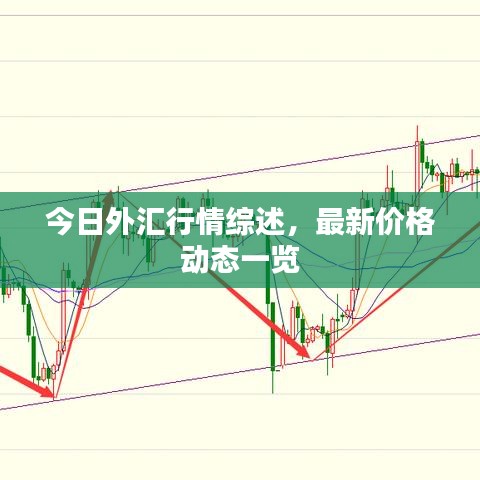 今日外匯行情綜述,最新價格動態一覽