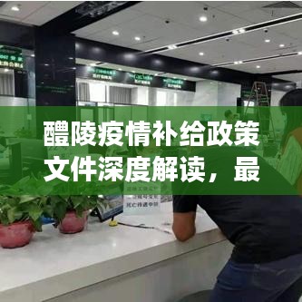 醴陵疫情補給政策文件深度解讀，最新動態與要點解析
