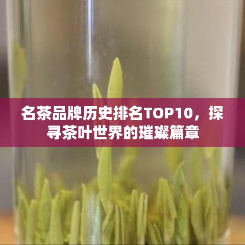 名茶品牌歷史排名TOP10,探尋茶葉世界的璀璨篇章