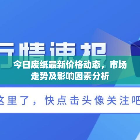 今日廢紙最新價格動態,市場走勢及影響因素分析