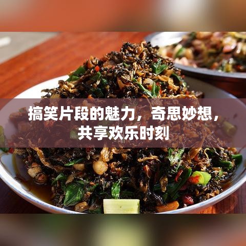 搞笑片段的魅力,奇思妙想,共享歡樂時刻