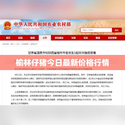 榆林仔豬今日最新價格行情