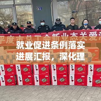 就業促進條例落實進展匯報,深化理解,積極行動