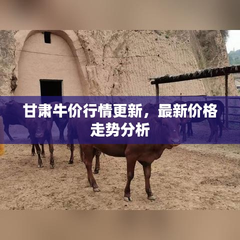 甘肅牛價(jià)行情更新,最新價(jià)格走勢(shì)分析