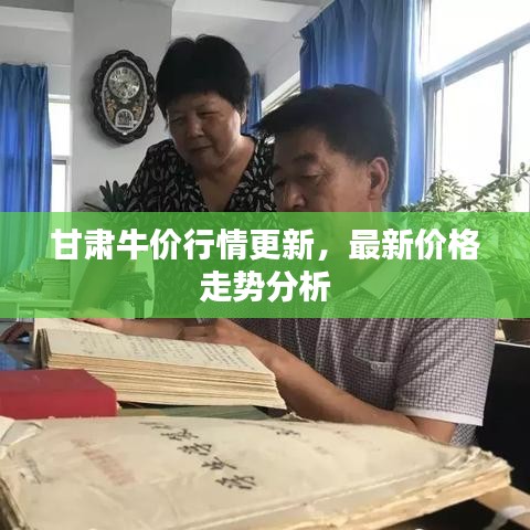 甘肅牛價(jià)行情更新,最新價(jià)格走勢(shì)分析