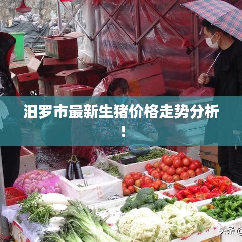 汨羅市最新生豬價(jià)格走勢(shì)分析!