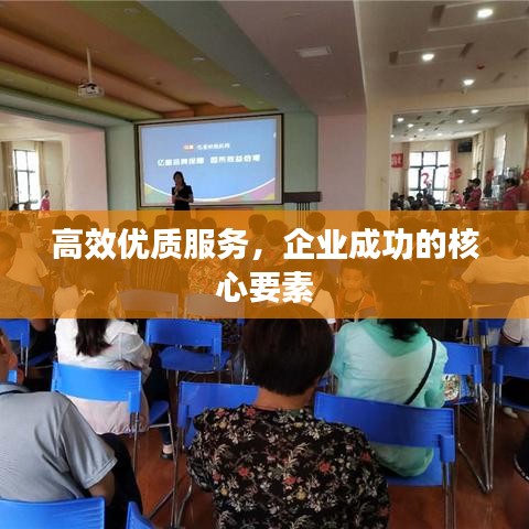 高效優(yōu)質(zhì)服務(wù),企業(yè)成功的核心要素