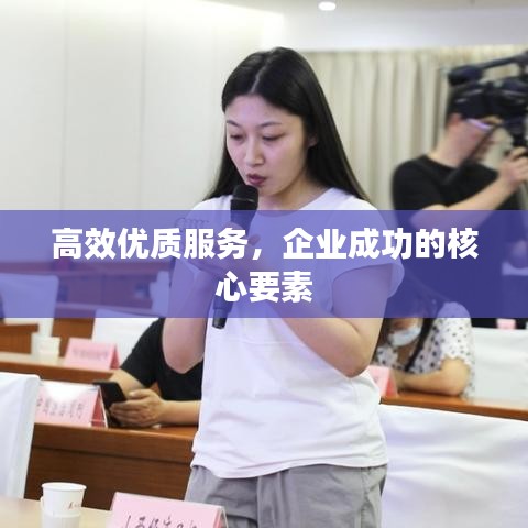 高效優質服務,企業成功的核心要素