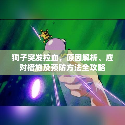 狗子突發拉血，原因解析、應對措施及預防方法全攻略