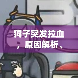狗子突發拉血,原因解析、應對措施及預防方法全攻略