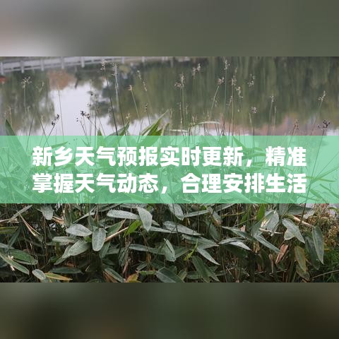 新鄉天氣預報實時更新,精準掌握天氣動態,合理安排生活出行計劃