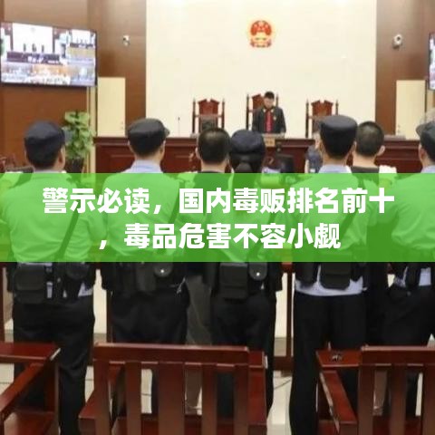 警示必讀,國內毒販排名前十,毒品危害不容小覷