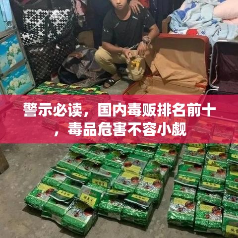 警示必讀,國內毒販排名前十,毒品危害不容小覷