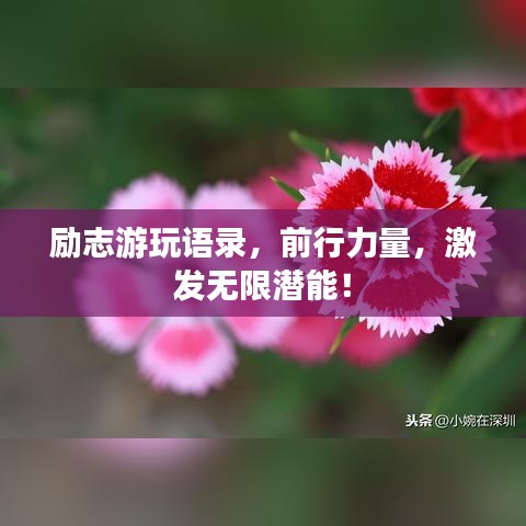 勵志游玩語錄,前行力量,激發無限潛能!