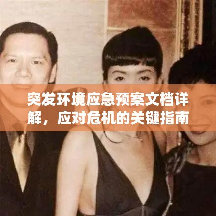 突發環境應急預案文檔詳解,應對危機的關鍵指南