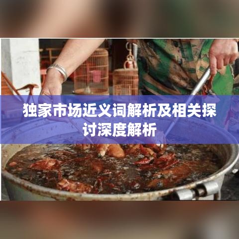 獨家市場近義詞解析及相關探討深度解析