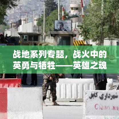 戰地系列專題,戰火中的英勇與犧牲——英雄之魂的見證
