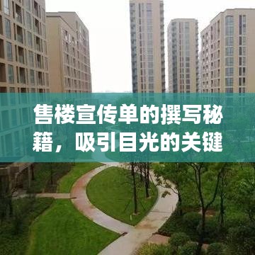 售樓宣傳單的撰寫秘籍,吸引目光的關(guān)鍵技巧