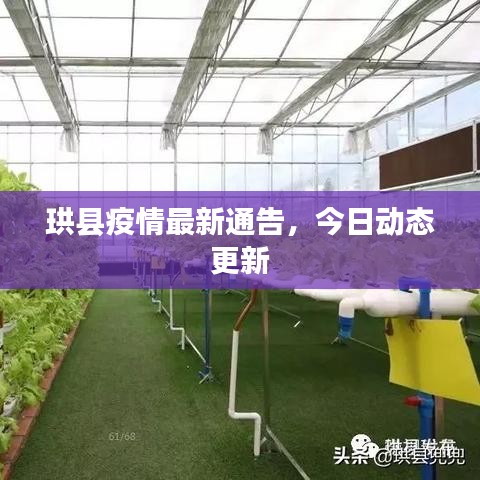 珙縣疫情最新通告,今日動態更新