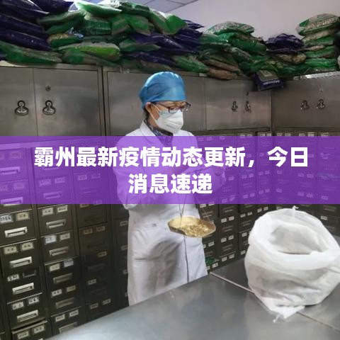 霸州最新疫情動態更新,今日消息速遞