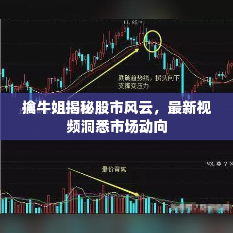 擒牛姐揭秘股市風云,最新視頻洞悉市場動向