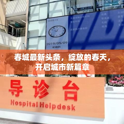 春城最新頭條，綻放的春天，開啟城市新篇章