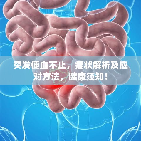 突發便血不止,癥狀解析及應對方法,健康須知!