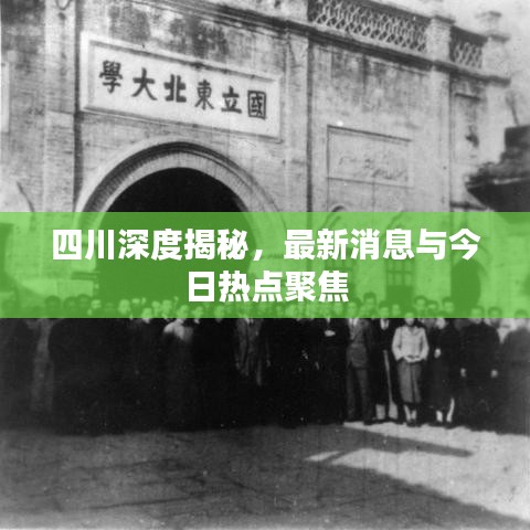 四川深度揭秘，最新消息與今日熱點聚焦